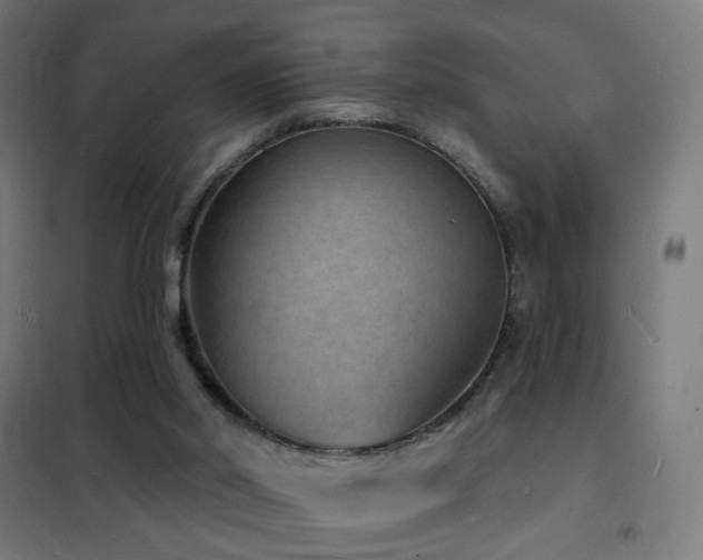 X0000102230014200807251246
