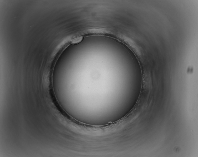 X0000102230015200807251246