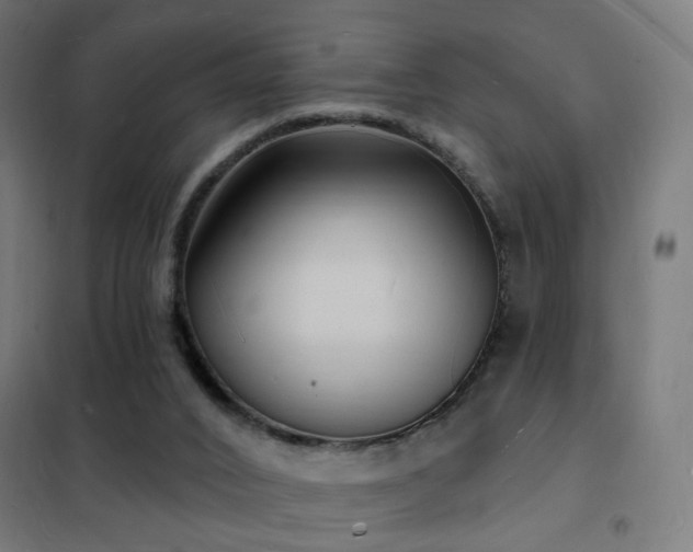 X0000102230016200807251246