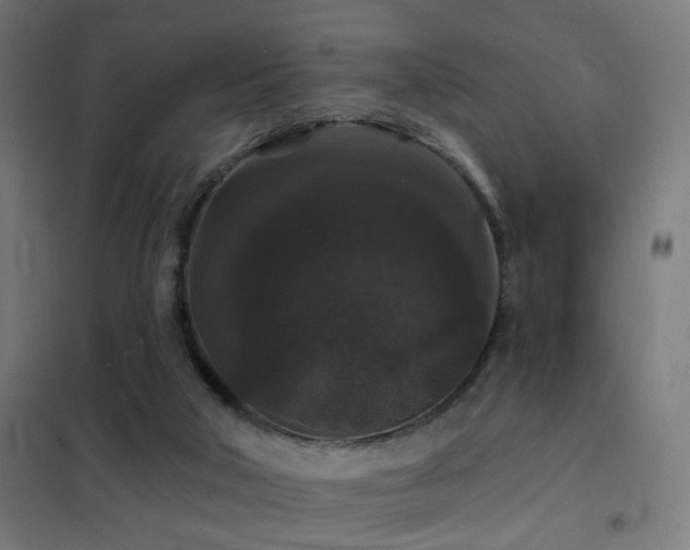 X0000102230018200807251246