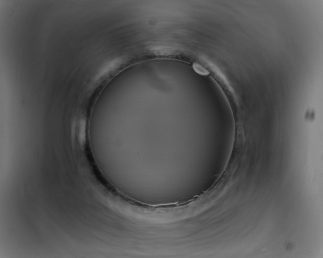 X0000102230019200807251246