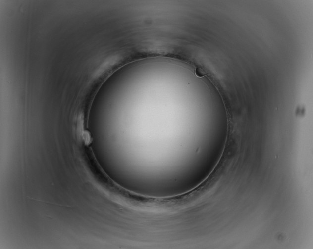 X0000102230020200807251245