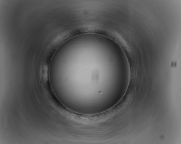 X0000102230022200807251245