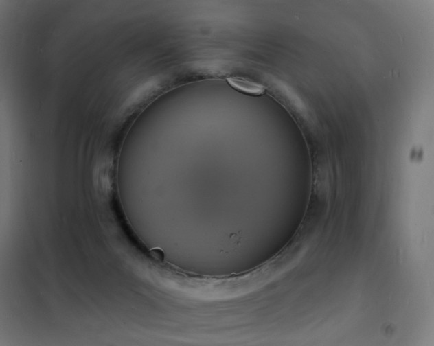 X0000102230023200807251245