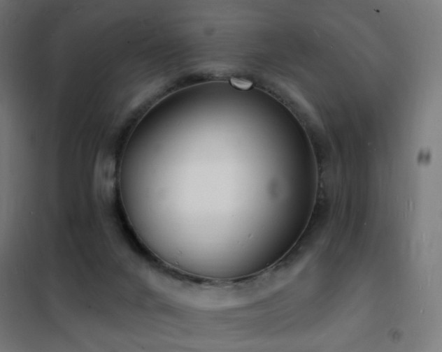 X0000102230024200807251245