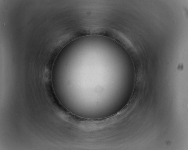 X0000102230025200807251245