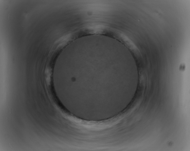 X0000102230026200807251245