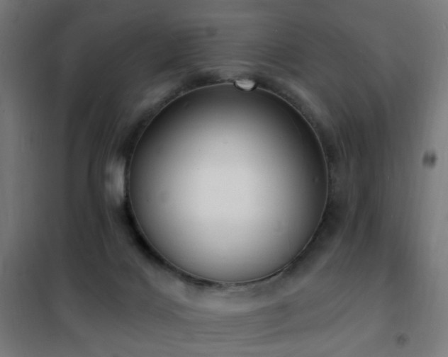 X0000102230028200807251245