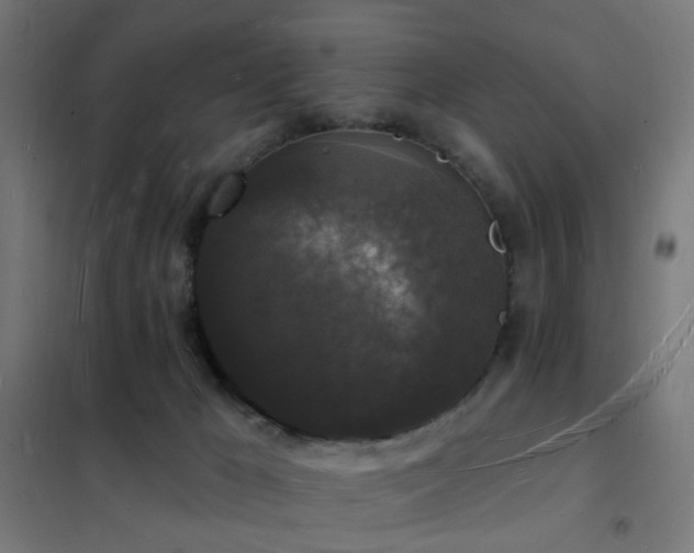 X0000102230029200807251245