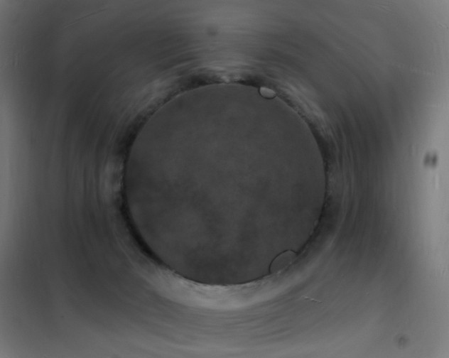 X0000102230030200807251245