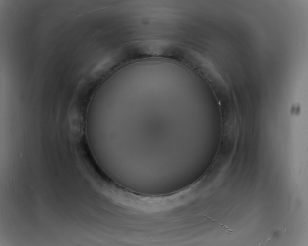X0000102230031200807251245
