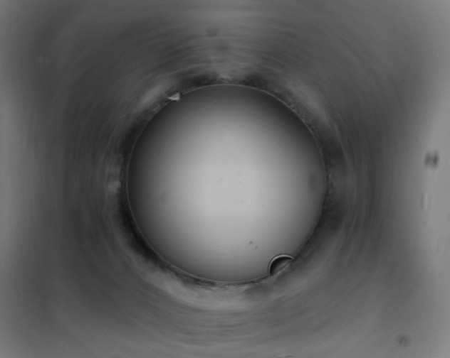 X0000102230032200807251245