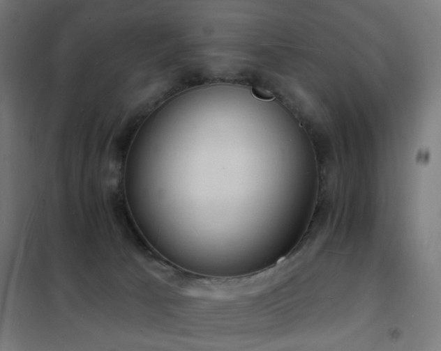 X0000102230033200807251245