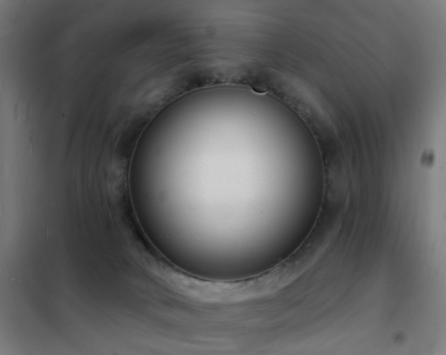 X0000102230034200807251245