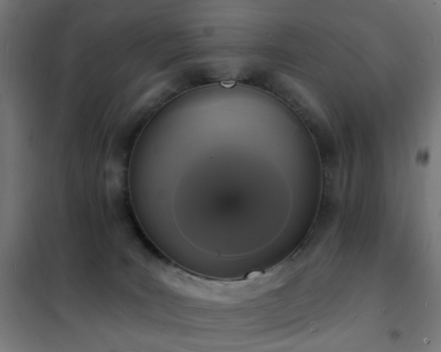 X0000102230035200807251245