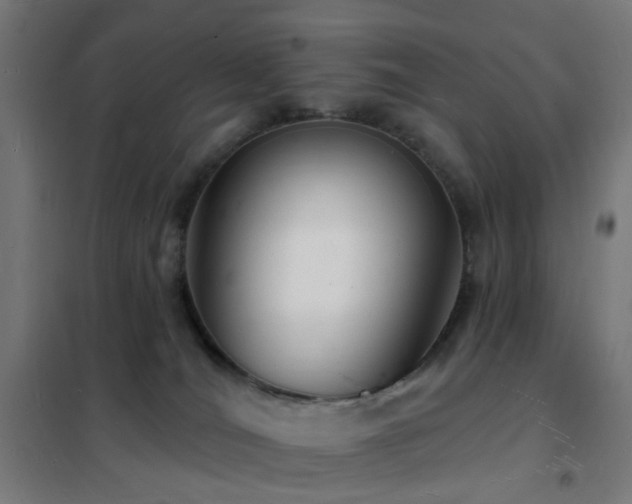 X0000102230036200807251245