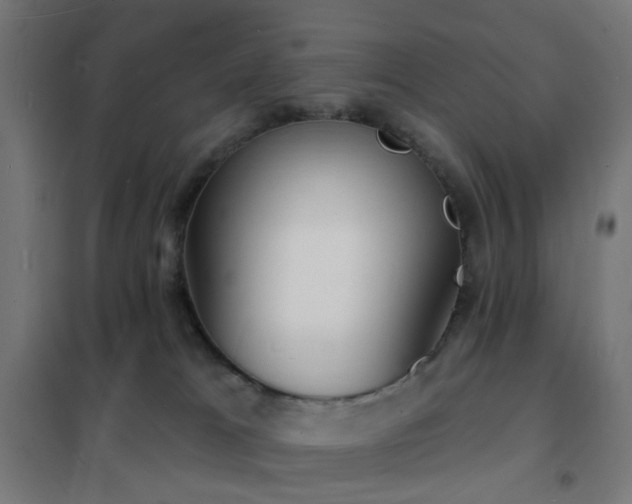 X0000102230037200807251245