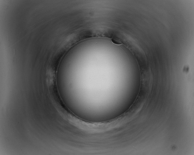 X0000102230038200807251245