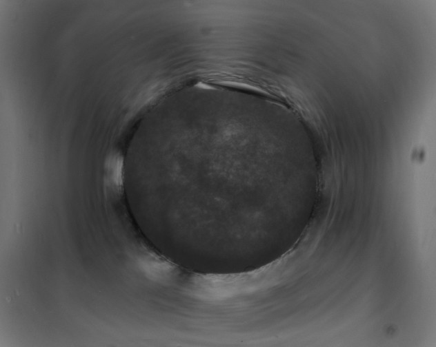 X0000102230041200807251245
