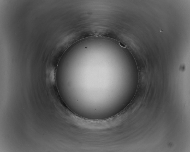 X0000102230042200807251245