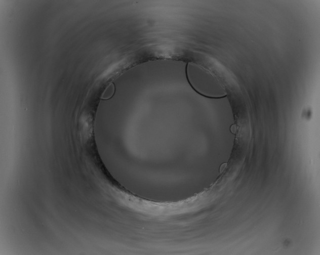X0000102230043200807251245