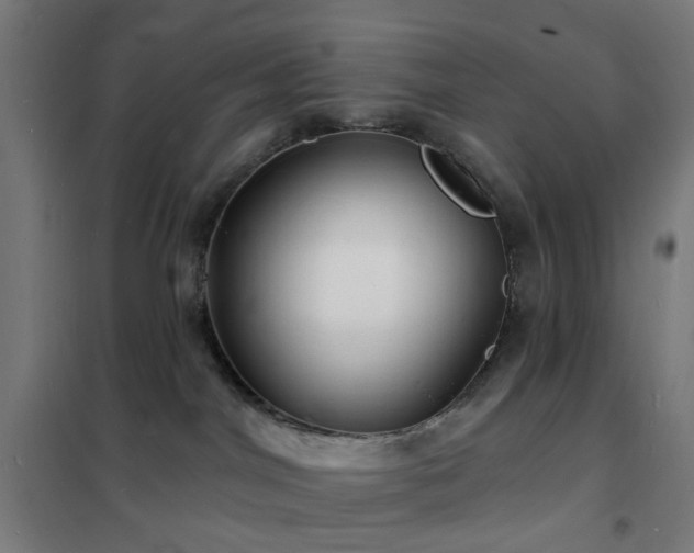 X0000102230044200807251245