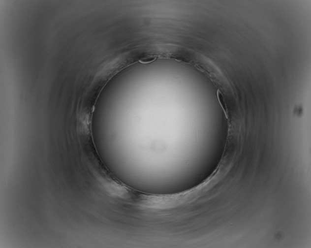 X0000102230045200807251245