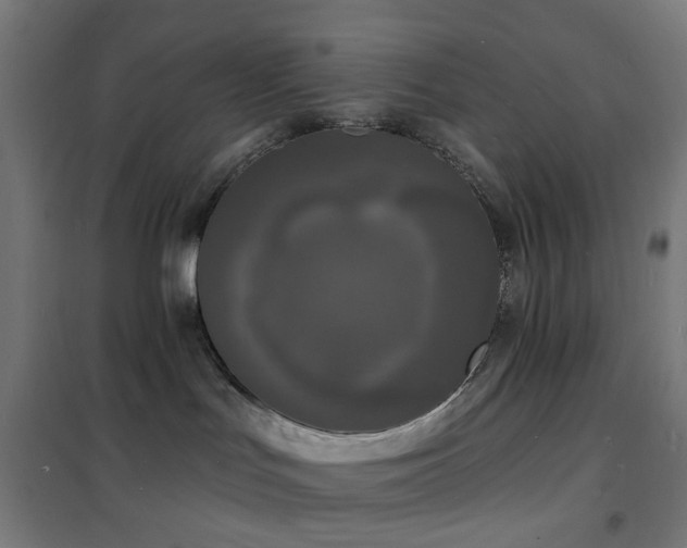 X0000102230047200807251245