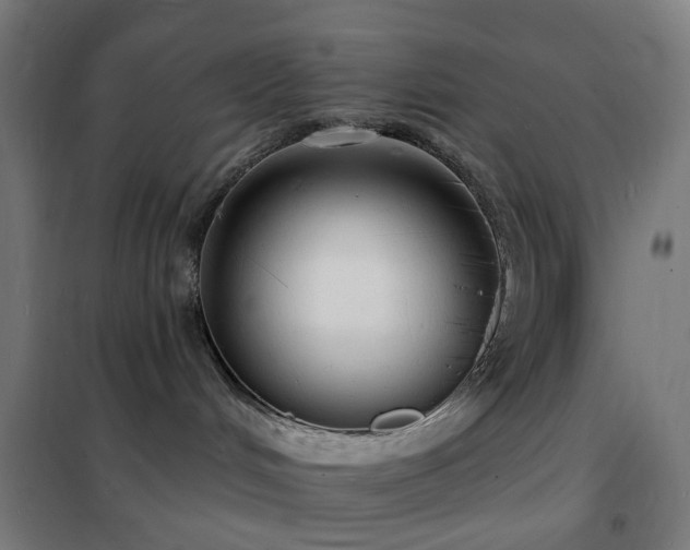 X0000102230048200807251245