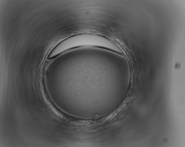 X0000102230049200807251244