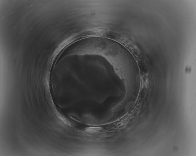 X0000102230051200807251244