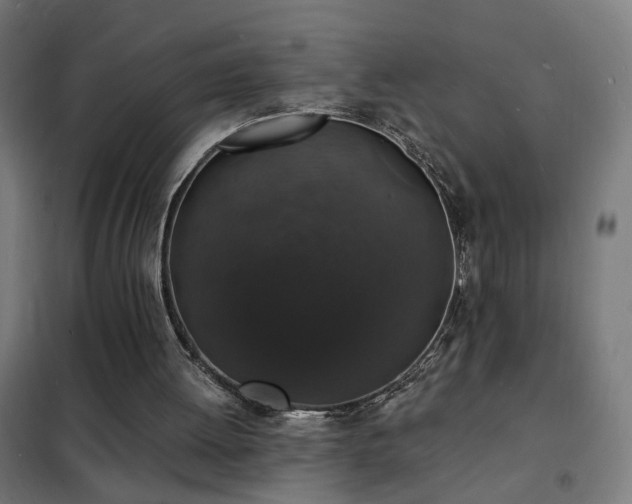 X0000102230052200807251244