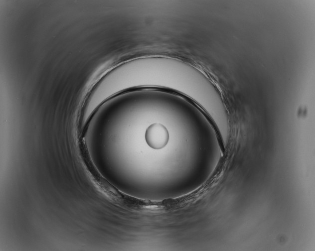 X0000102230053200807251244