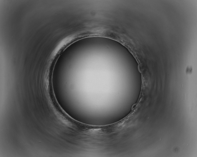 X0000102230054200807251244
