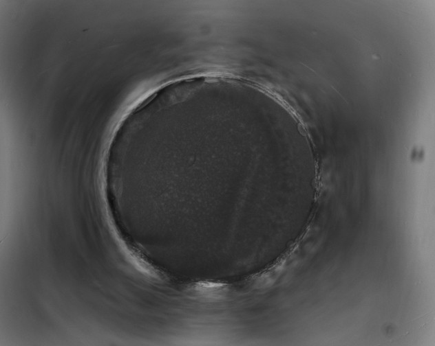 X0000102230055200807251244