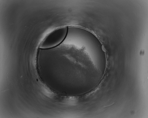 X0000102230056200807251244