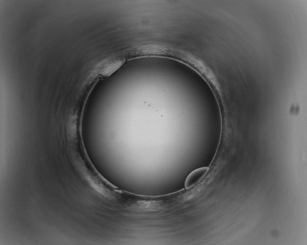 X0000102230057200807251244