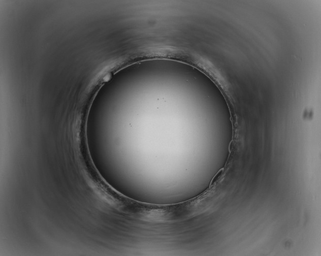 X0000102230058200807251244