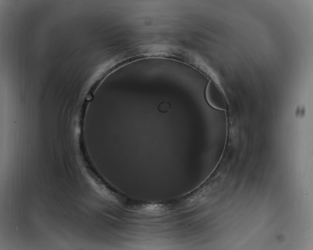 X0000102230059200807251244
