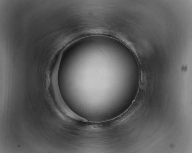 X0000102230061200807251244