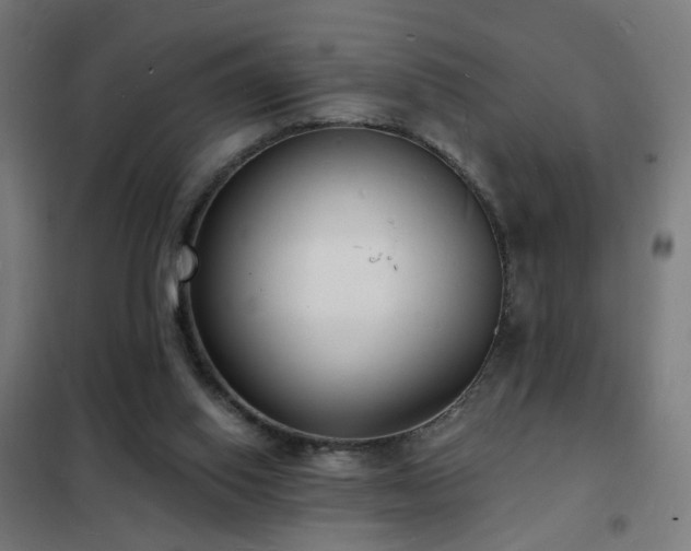 X0000102230062200807251244