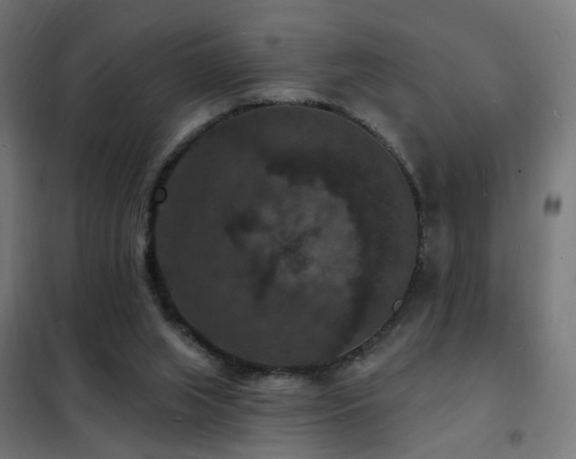 X0000102230063200807251244