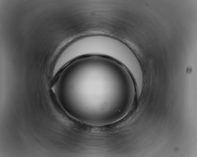 X0000102230064200807251244