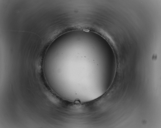 X0000102230065200807251244