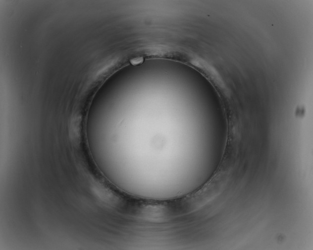 X0000102230066200807251245