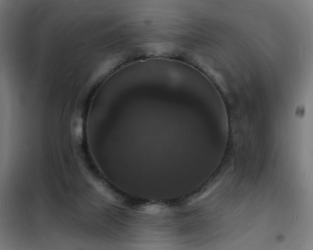 X0000102230067200807251245
