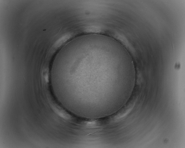 X0000102230068200807251245