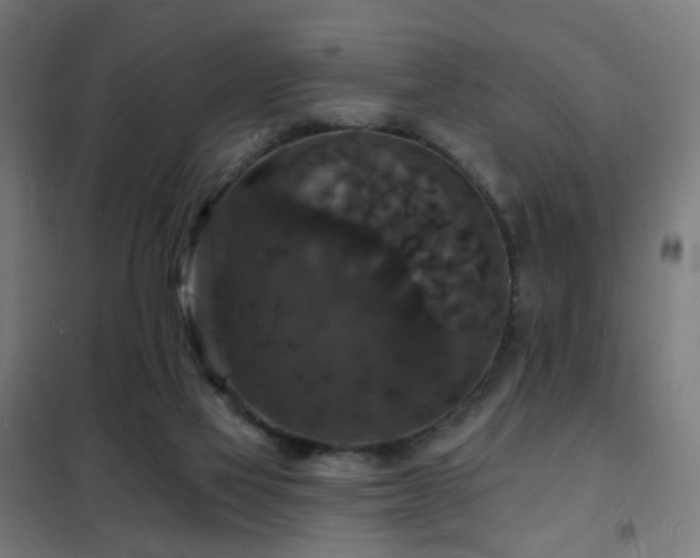 X0000102230069200807251245