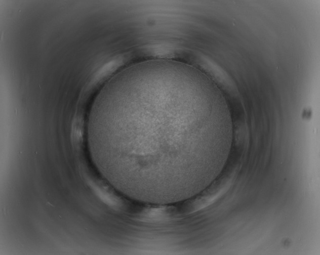 X0000102230072200807251245