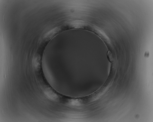 X0000102230073200807251245